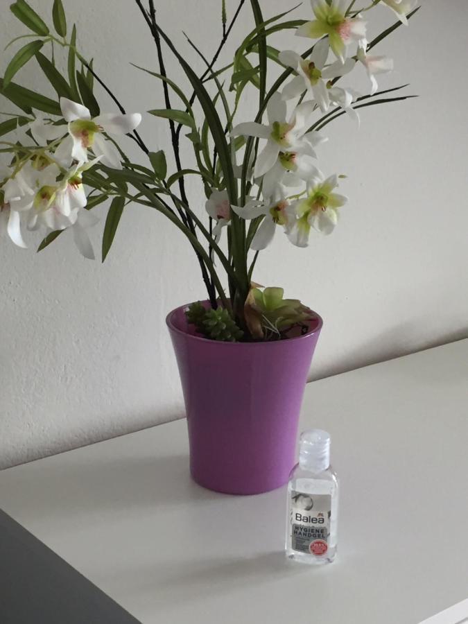 Apartment Grocke